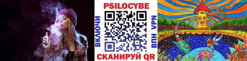 где можно купить наркотик  Петровск-Забайкальский  darknet состав  Галлюциногенные грибы Psilocybine cubensis 